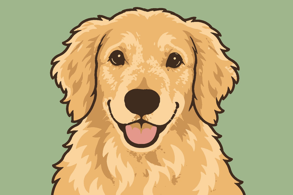 Storybook style example: a smiling golden retriever in bold picture-book colours on sage green (digital preview)